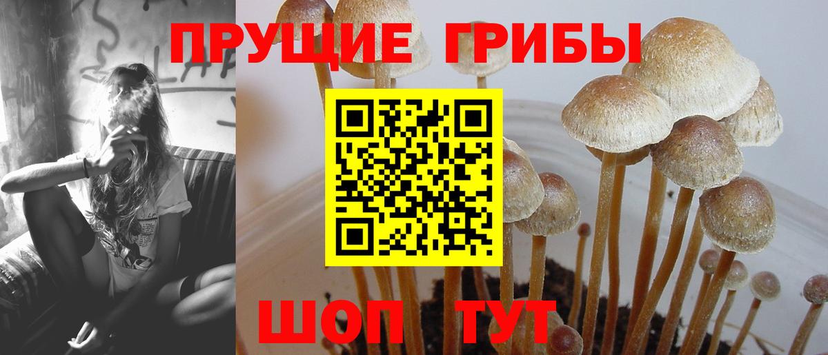 Codein Железногорск